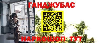 молекула духа Будённовск