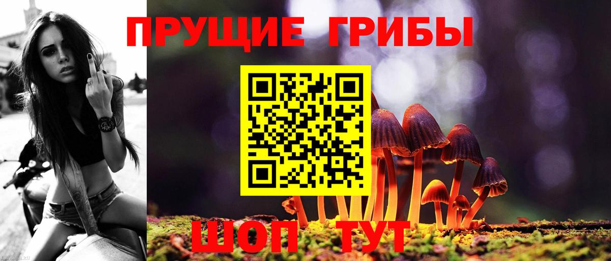 Галлюциногенные грибы мухоморы  Вход с VPN  Кострома  Галлюциногенные грибы Psilocybe 